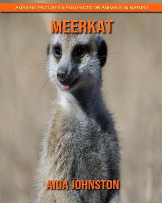 Book cover for Meerkat