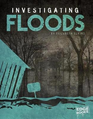 Book cover for Investigating Floods (Investigating Natural Disasters)
