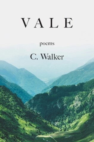 Cover of Vale