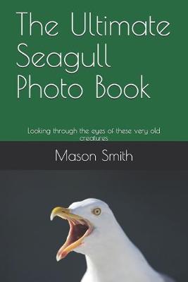 Book cover for The Ultimate Seagull Photo Book