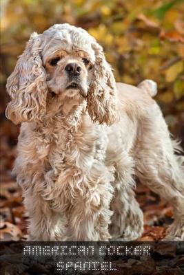 Book cover for American Cocker Spaniel