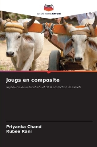 Cover of Jougs en composite