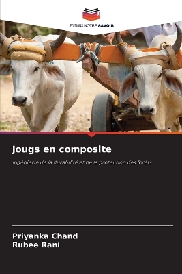 Book cover for Jougs en composite