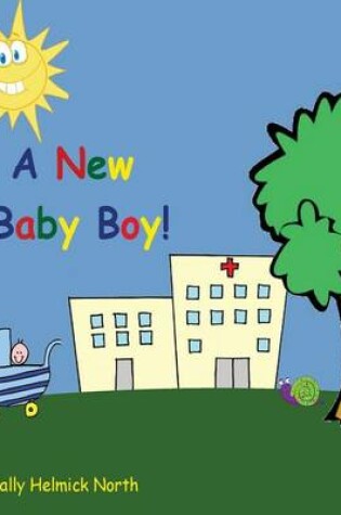 Cover of A New Baby Boy!