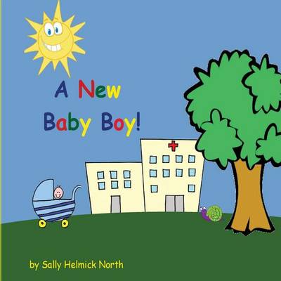 Book cover for A New Baby Boy!