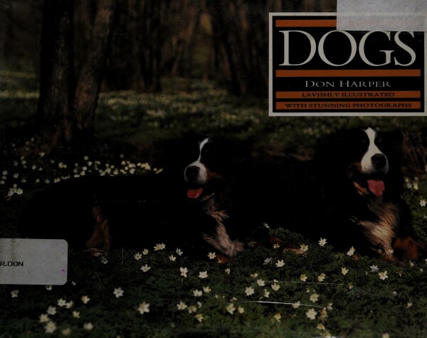 Book cover for Dogs