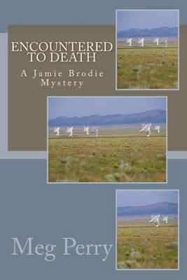 Cover of Encountered to Death