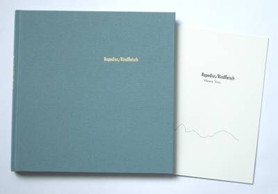 Book cover for Rapedius/Rindfleisch: Falten, Schichten, Wandeln