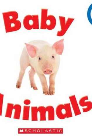 Cover of Baby Animals