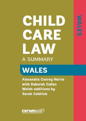 Book cover for Child Care Law Wales