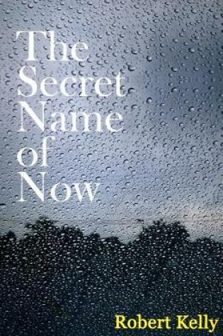 Cover of The Secret Name of Now