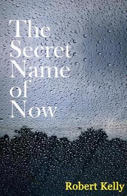 Book cover for The Secret Name of Now