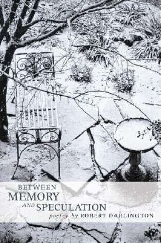 Cover of Between Memory And Speculation