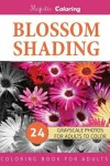 Book cover for Blossom Shading