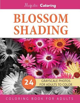 Cover of Blossom Shading