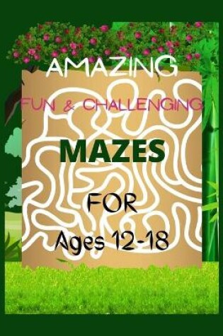 Cover of AMAZING FUN & CHALLENGING MAZES FOR Ages 12-18