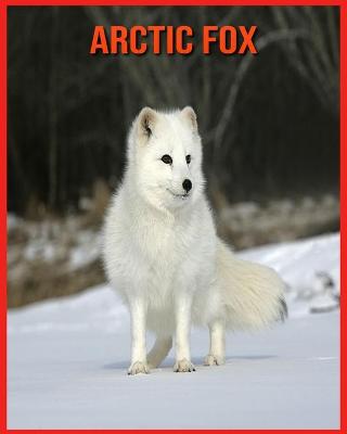 Book cover for Arctic Fox