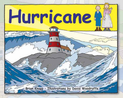 Book cover for Hurricane