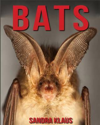 Cover of Bats