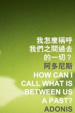 Cover of How Can I Call What Is Between Us a Past?