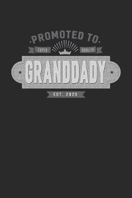 Book cover for Promoted To Super Quality Granddady Est. 2020