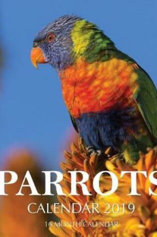 Cover of Parrots Calendar 2019