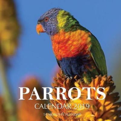 Book cover for Parrots Calendar 2019