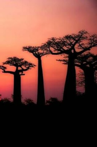 Cover of Baobab Trees at Sunset in Madagascar Journal