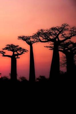 Book cover for Baobab Trees at Sunset in Madagascar Journal