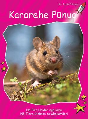 Book cover for Little Animals te reo Māori - Kararehe Iti