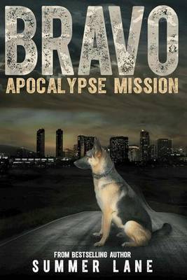 Book cover for Bravo