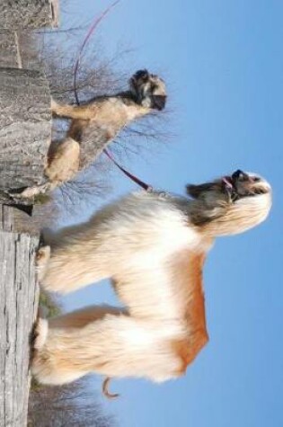 Cover of Afghan Hound and a Border Terrier Journal