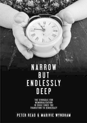 Book cover for Narrow But Endlessly Deep