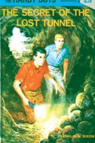 Cover of Hardy Boys 29