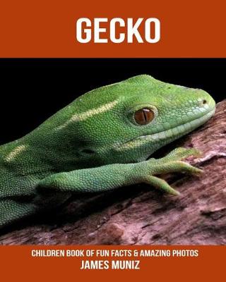 Book cover for Gecko