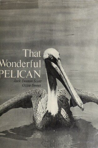 Cover of That Wonderful Pelican