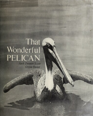 Book cover for That Wonderful Pelican