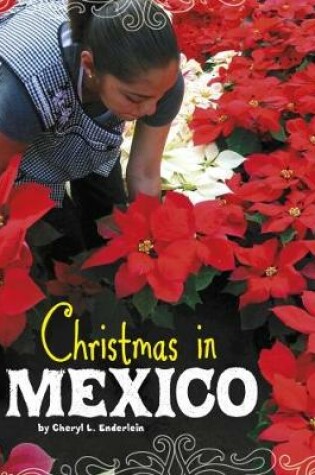 Cover of Christmas in Mexico