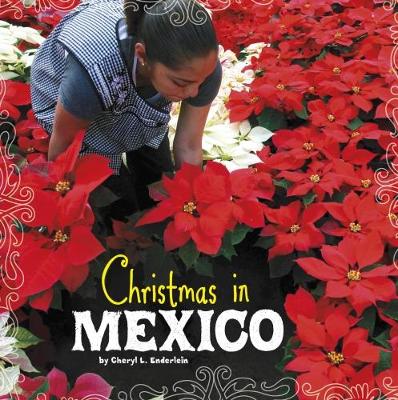 Book cover for Christmas in Mexico