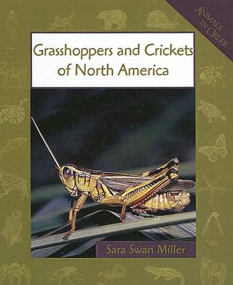 Book cover for Grasshoppers and Crickets of North America