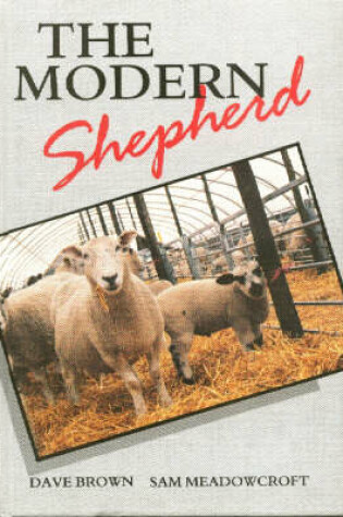 Cover of The Modern Shepherd