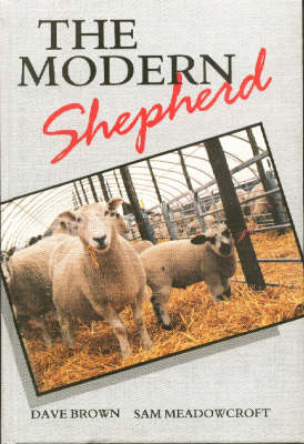 Book cover for The Modern Shepherd