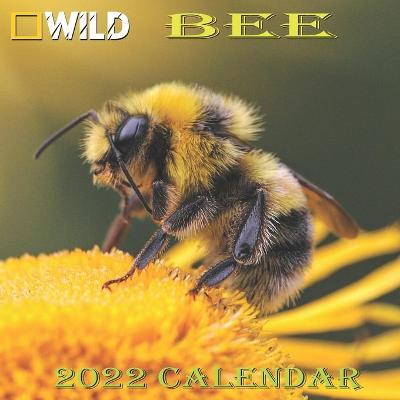 Book cover for BEE Calendar 2022