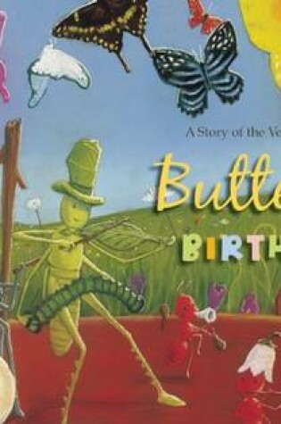 Cover of Butterfly Birthday