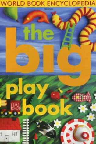 Cover of The Big Play Book