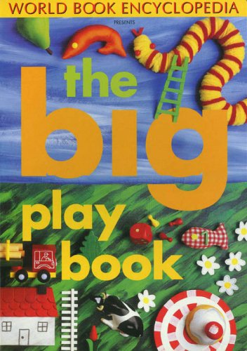 Book cover for The Big Play Book