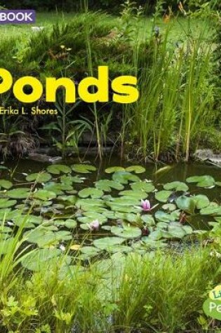 Cover of Ponds: a 4D Book (Bodies of Water)