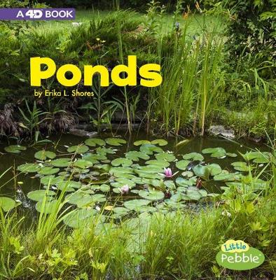 Book cover for Bodies of Water Ponds a 4D Book