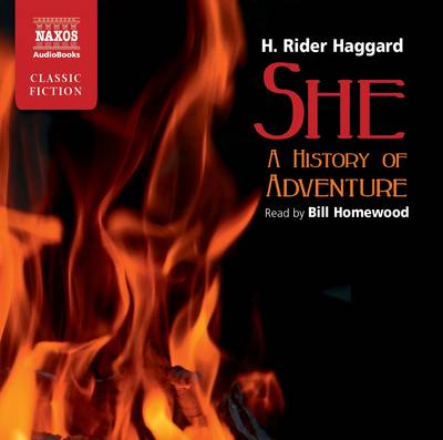 Book cover for She (A History of Adventure)