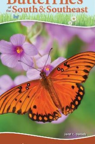 Cover of Butterflies of the South & Southeast